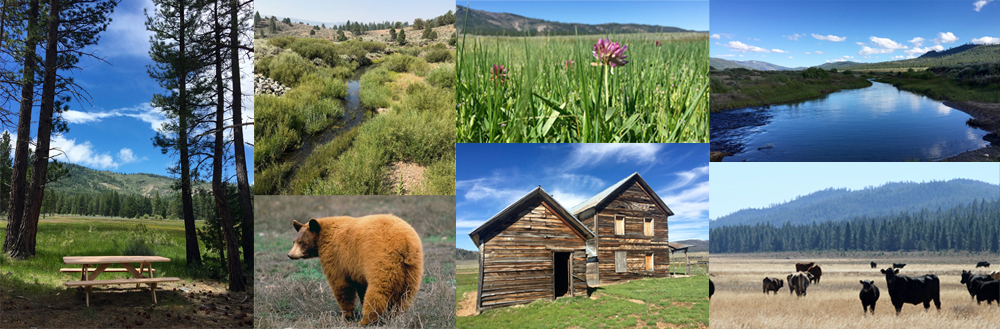 Clover Valley Ranch collage