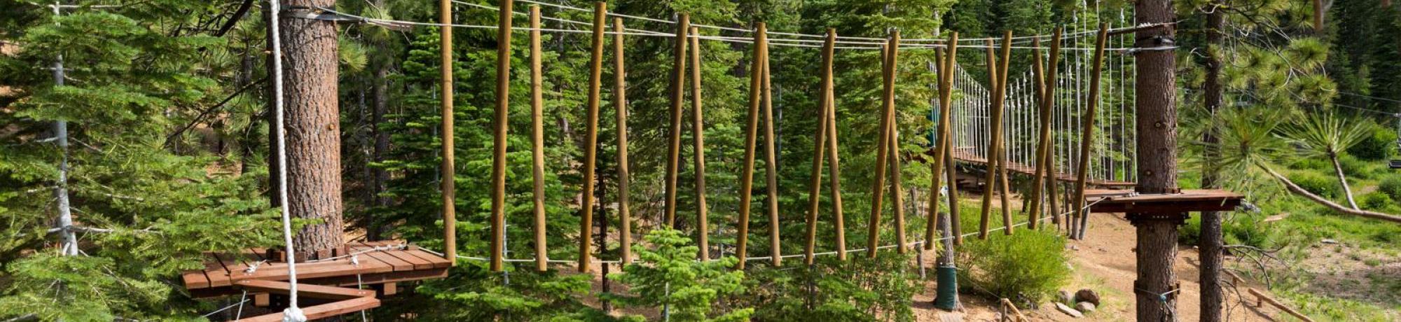 Tahoe treetop adventures zipline